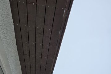 20250131_104252 (1)